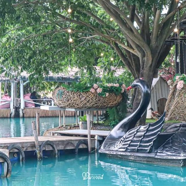 The Wild swans Café and Lake - คาเฟ่สวยนครปฐม