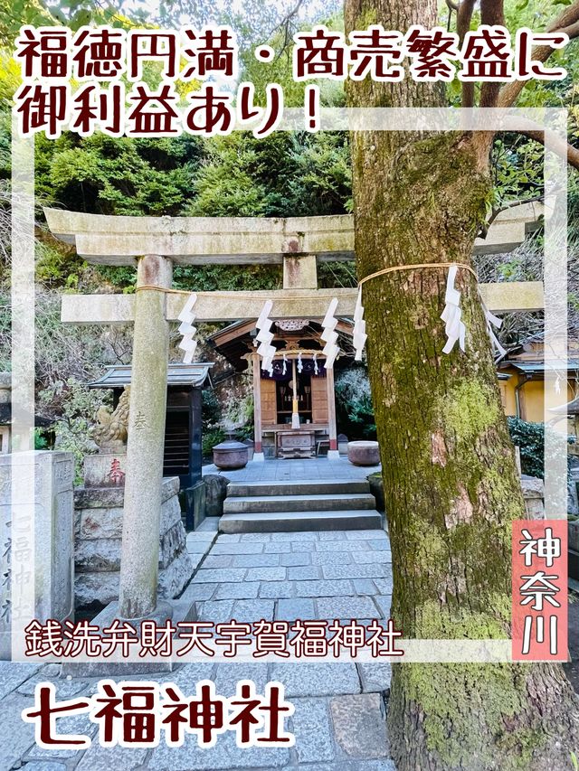 【神奈川県/七福神社】福徳円満・商売繁盛に御利益あり！