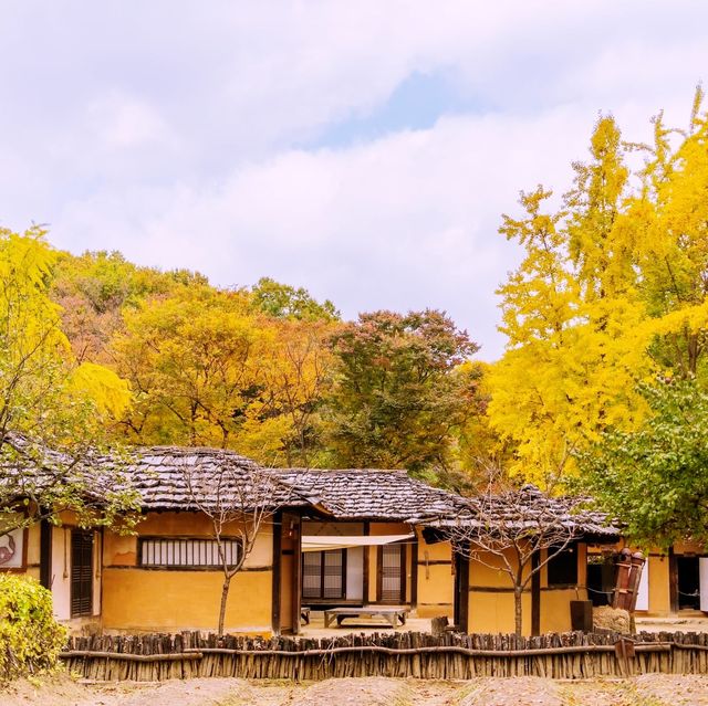 Discover amazing Autumn@ Korean Folk Village