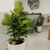 TNL Bakery Cafe