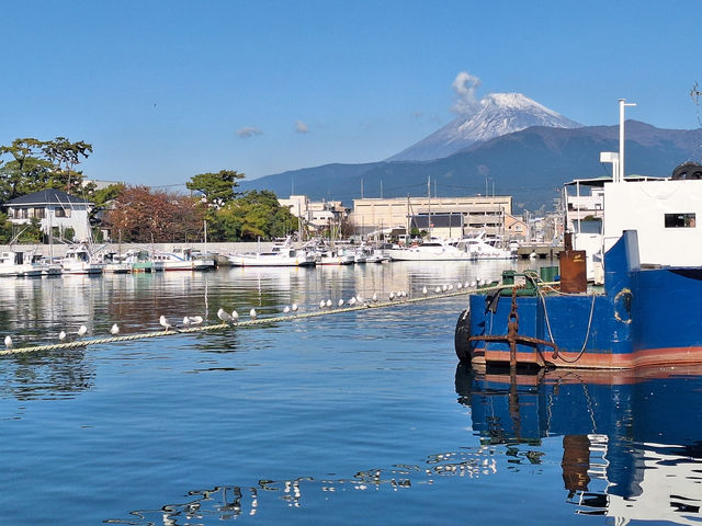 Numazu - a seafood paradise