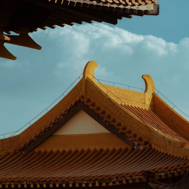 清照寺 🌸🏯和風古寺的心靈寄託🙏🍃