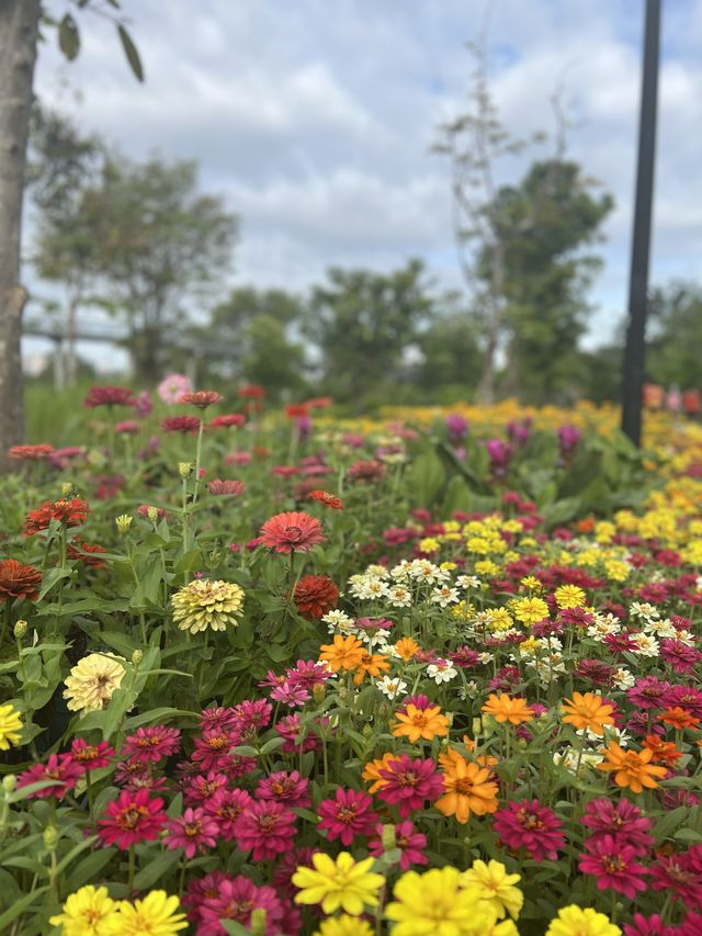 สวนเบญจกิติไปอย่างไร