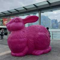海港城兔年裝飾