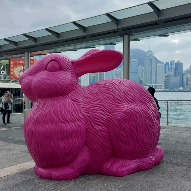 海港城兔年裝飾