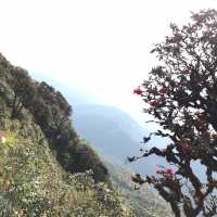 Nottyjourney เจอกิ่วแม่ปาน