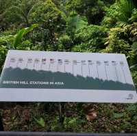 Penang Rainforest Discovery Centre