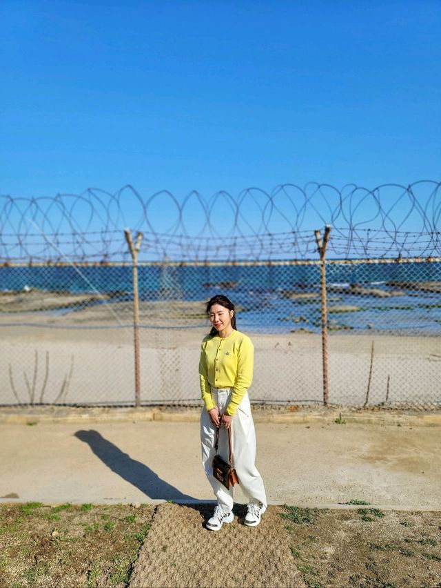 아야진해변이 영화처럼 펼쳐지는 고성 스위밍터틀🐢
