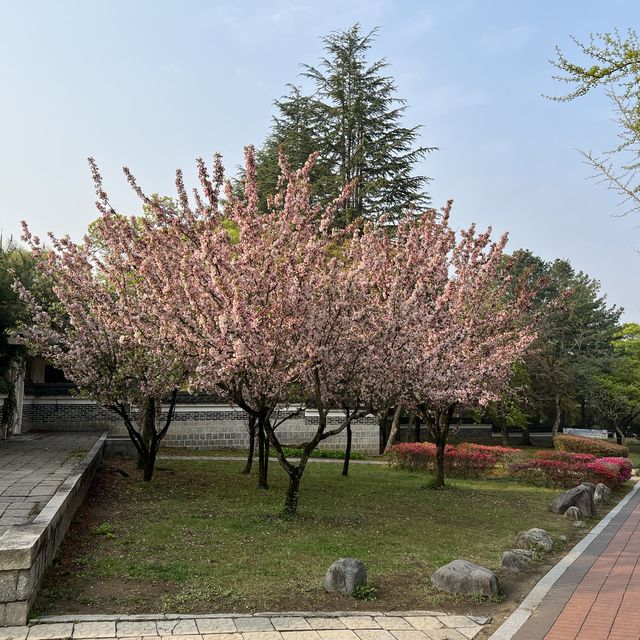 慶州景點-普門湖風景區