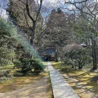 【岩手県/中尊寺,金色堂】世界遺産