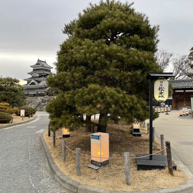 【長野県/松本城🏯】