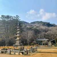 피크닉을 즐기기에 좋은 공주 절 여행 마곡사