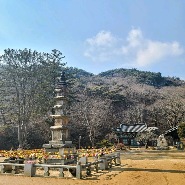 피크닉을 즐기기에 좋은 공주 절 여행 마곡사
