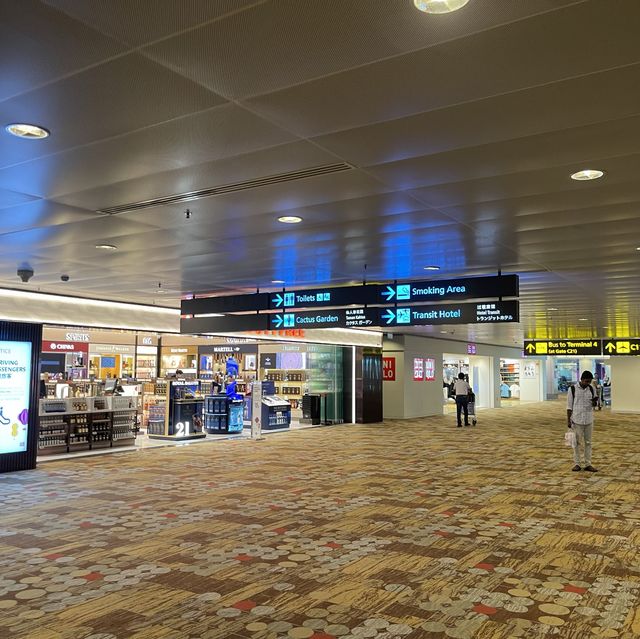 Changi Airport Terminal 1 transit