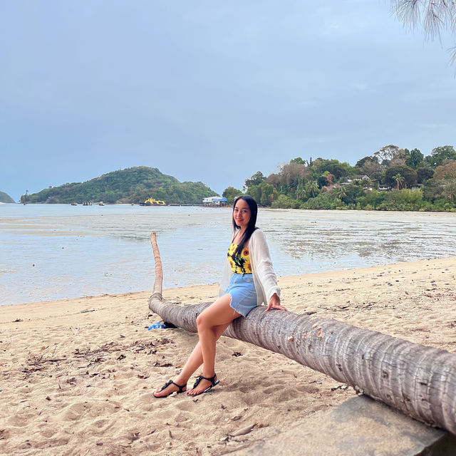 Island camping 