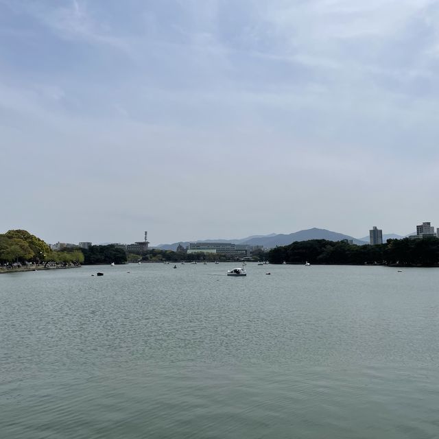 후쿠오카 힐링 포인트 오호리공원
