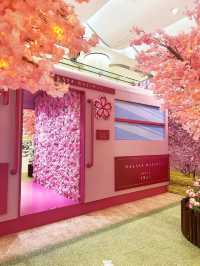 ⭐️原來係最後一日😱黃埔「5月限定櫻花🌸の旅」