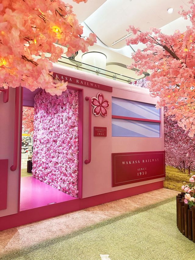 ⭐️原來係最後一日😱黃埔「5月限定櫻花🌸の旅」