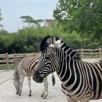 Bestie’s Day Out At SH Wild Animal Park