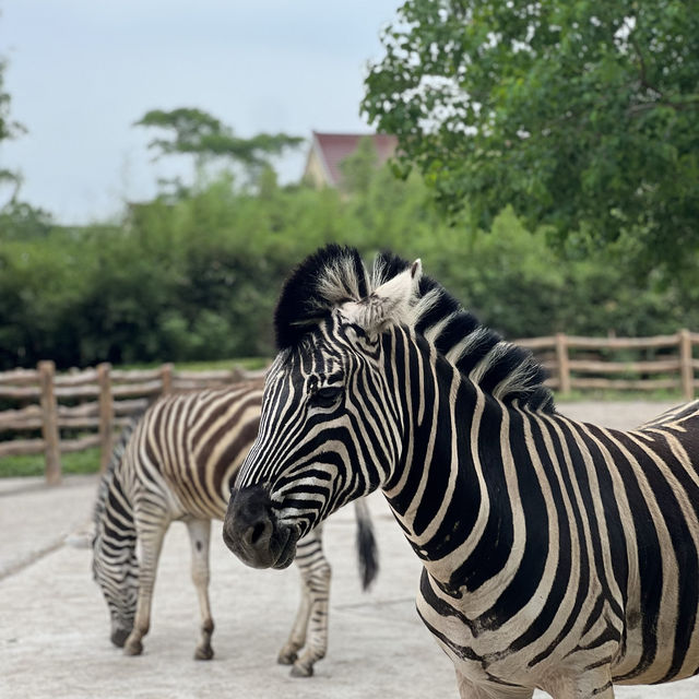 Bestie’s Day Out At SH Wild Animal Park