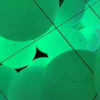 TeamLab Plants TOKYO