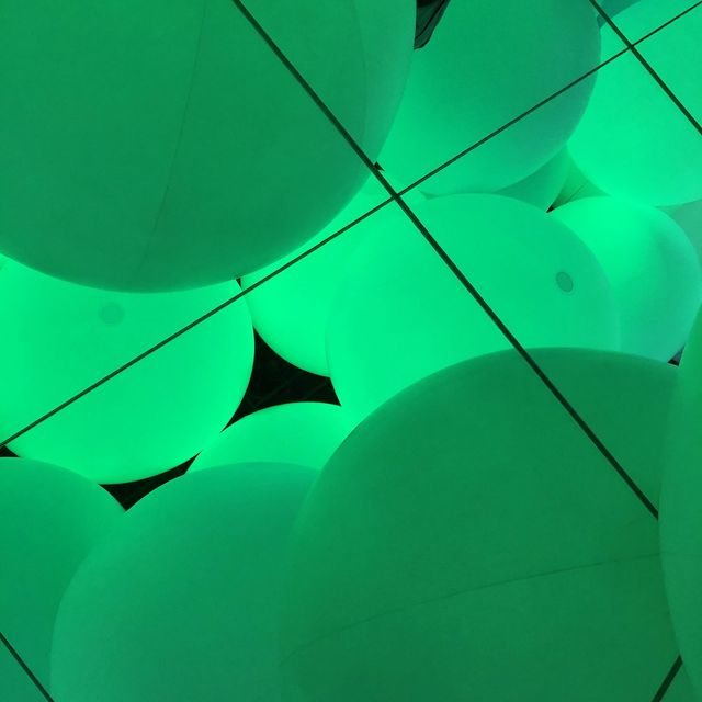 TeamLab Plants TOKYO