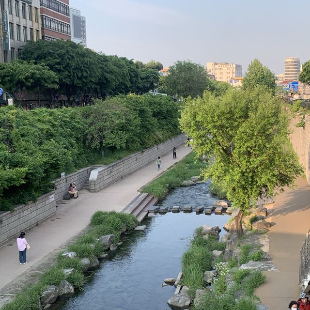 도심 속에서 만나는 힐링 스팟 카페🍃🌿🍀