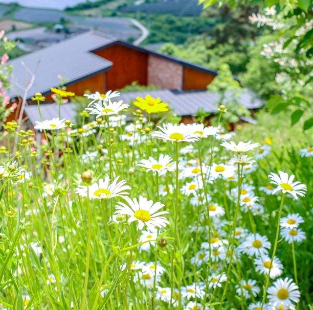 자연을 바라보는 홀리가든⛰️ 