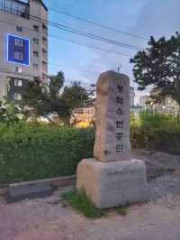 청학수변공원에서 부산항대교 야경즐기기✨️