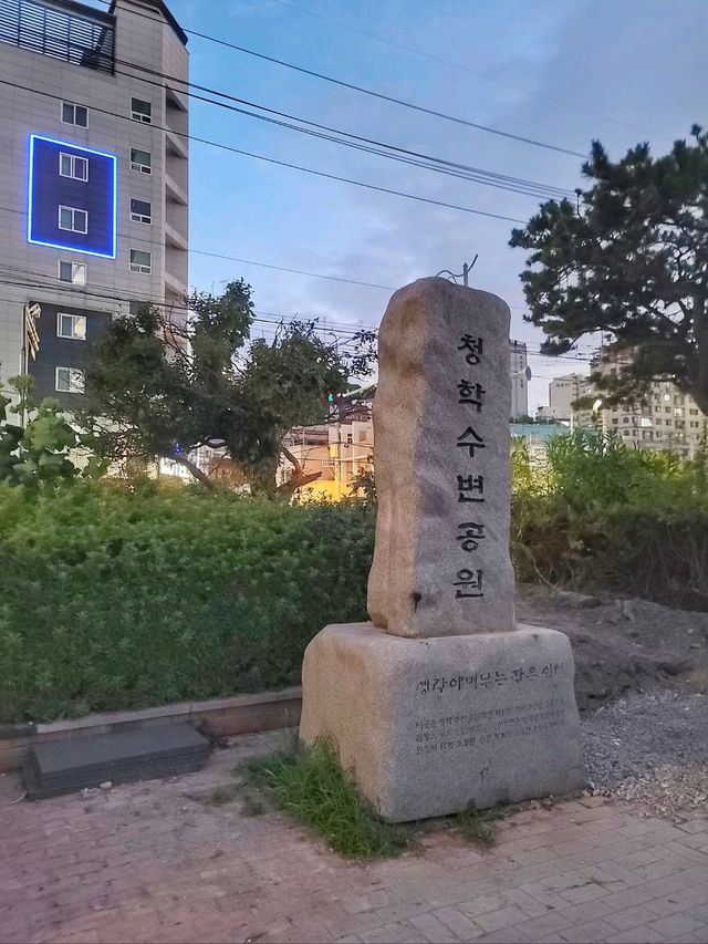 청학수변공원에서 부산항대교 야경즐기기✨️