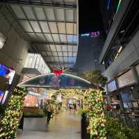 313 Christmas lights