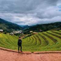 Vành Móng Ngựa Terraced Rice Fields