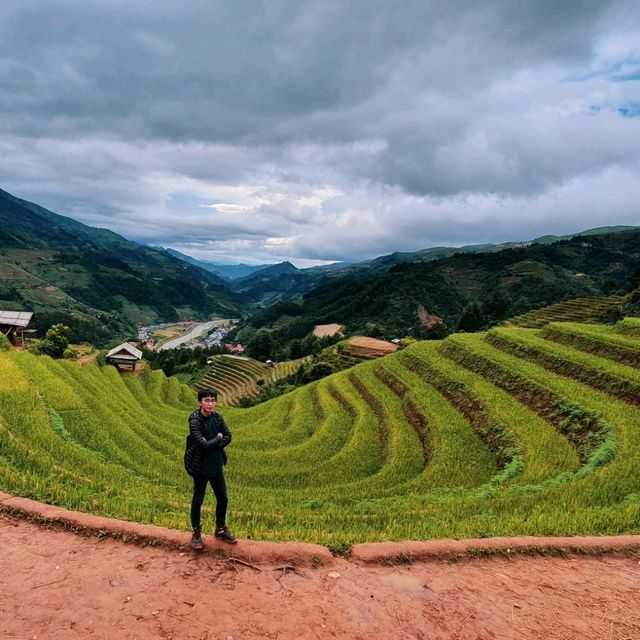 Vành Móng Ngựa Terraced Rice Fields