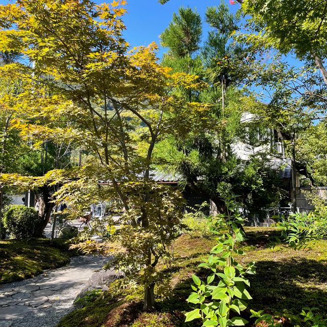 【京都府】嵐山の人気カフェでお料理と雰囲気を楽しむ