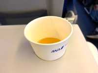 東京　東京観光　羽田ー新千歳　ANA便でフライトを満喫！