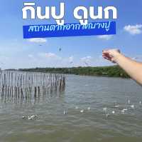 กินปูดูนก : สถานตากอากาศบางปู