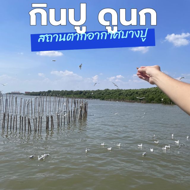 กินปูดูนก : สถานตากอากาศบางปู