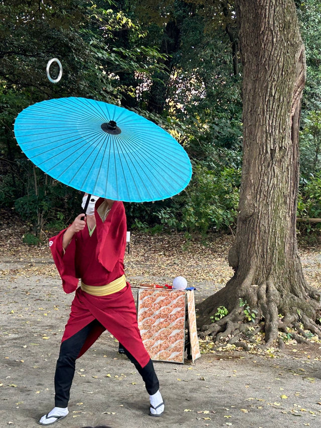 【六義園】　東京の隠れた紅葉🍁スポット