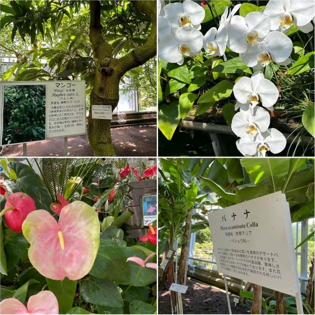 【静岡県/伊豆熱川】熱川バナナワニ園