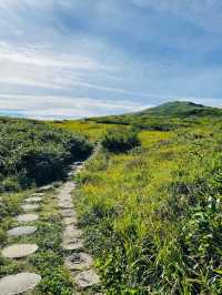 【山形県/御田原神社】2023年行ってよかった！山形県の神社⑦