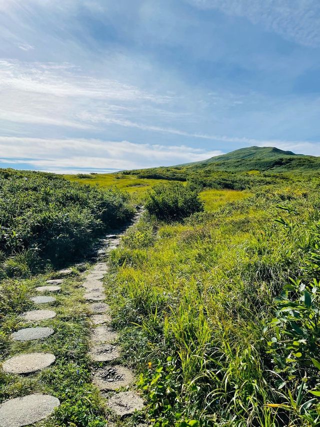 【山形県/御田原神社】2023年行ってよかった！山形県の神社⑦