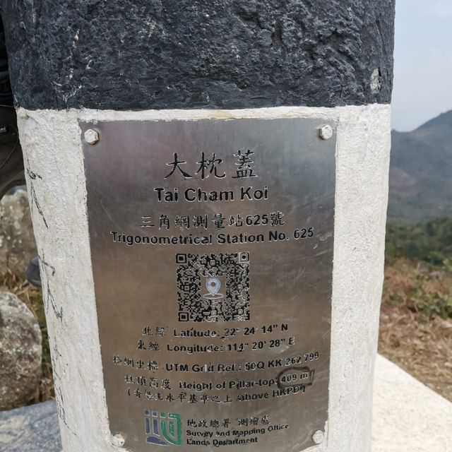 睇吊鐘花好介紹~大枕蓋 睇吊鐘花好介紹~大枕蓋