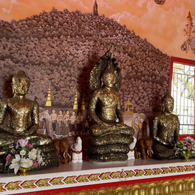  4 เรื่องที่ควรทำเมื่อมาวัดเขากบ นครสวรรค์ 