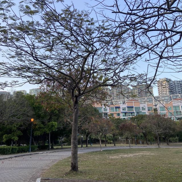 恍如置身於外國的假期