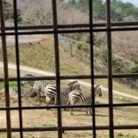 人生必到 野生動物餵食體驗