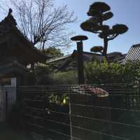 お地蔵さまの並ぶ寺【西光寺】
