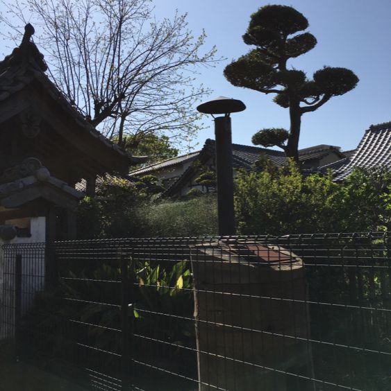 お地蔵さまの並ぶ寺【西光寺】