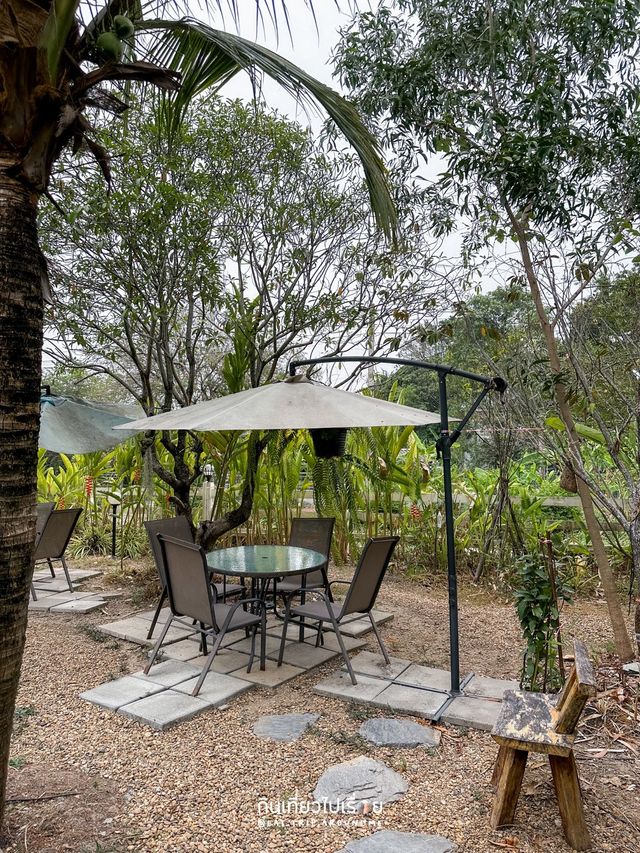 I'M Cafe คาเฟ่ท่ามกลางต้นไม้ย่านหนองจอก🌳☘️
