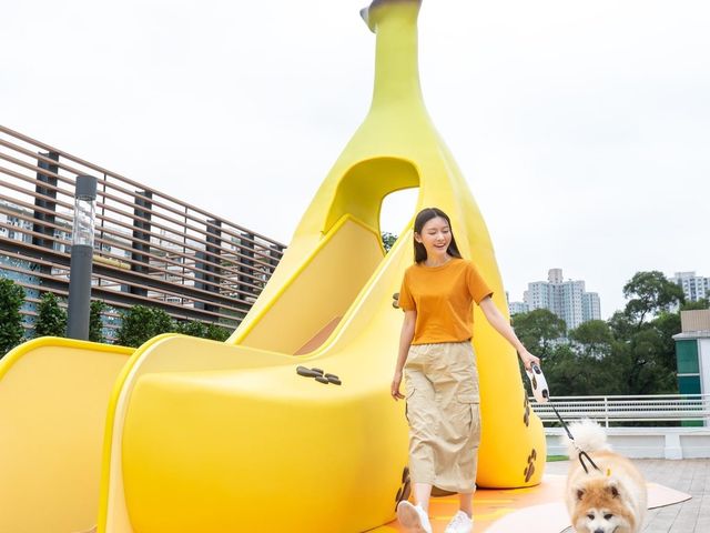大埔2萬呎寵物共享花園登場