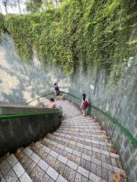 มุมถ่ายรูปสุดปังในสิงคโปร์ บอกเลยห้ามพลาด